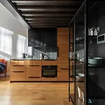 Stylish Loft With Terrace Paupys, Old Town * Vilnius
