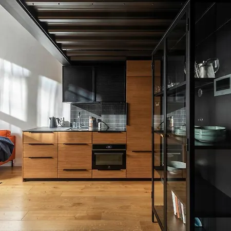 Stylish Loft With Terrace Paupys, Old Town * 维尔纽斯