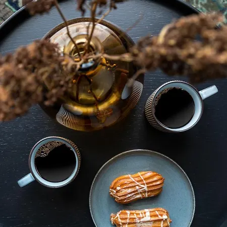 Apartment Stylish Loft With Terrace Paupys, Old Town