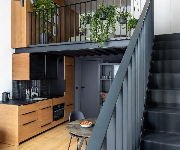 Stylish Loft With Terrace Paupys, Old Town