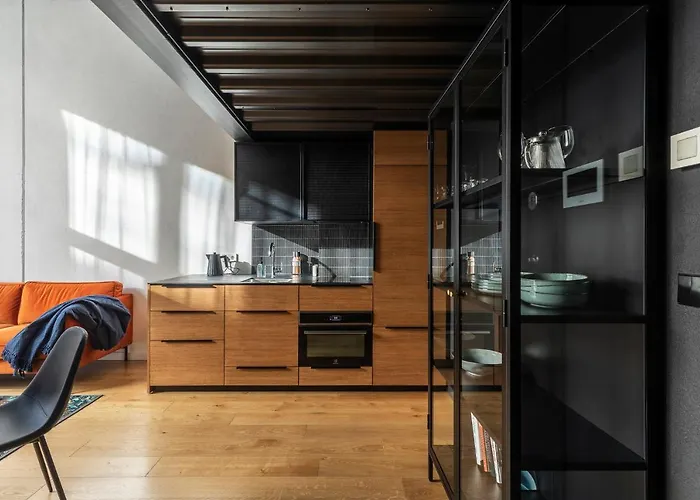 Stylish Loft With Terrace Paupys, Old Town * Βίλνιους