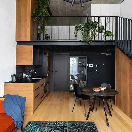 Stylish Loft With Terrace Paupys, Old Town Apartmán
