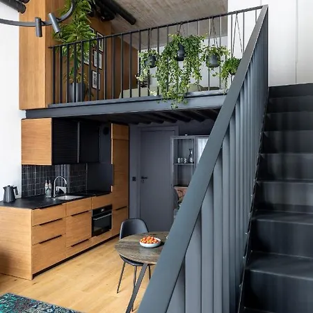 Stylish Loft With Terrace Paupys, Old Town