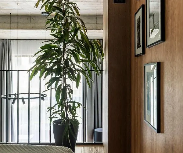 Stylish Loft With Terrace Paupys, Old Town *